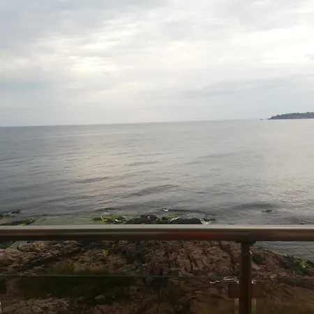 Guest house за гости синева 4*